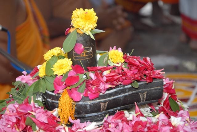 shiva