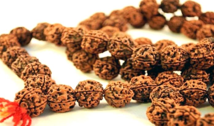 rudra